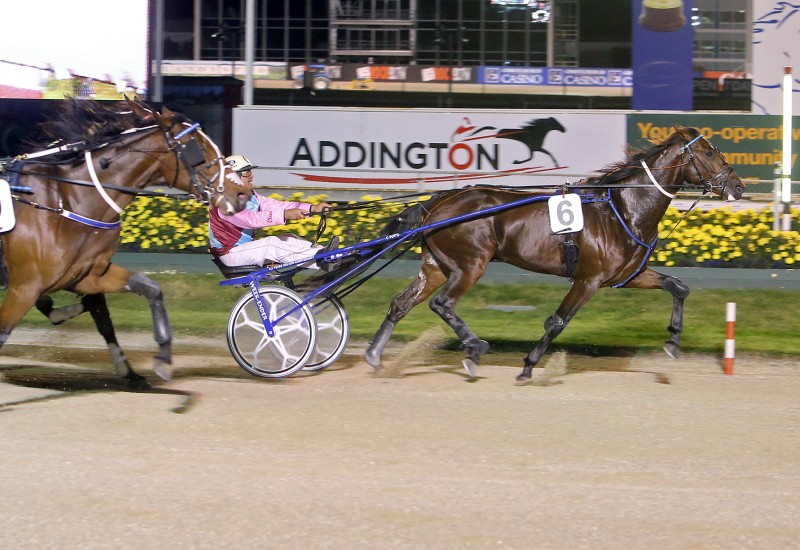 MARCOOLA WIN 2452